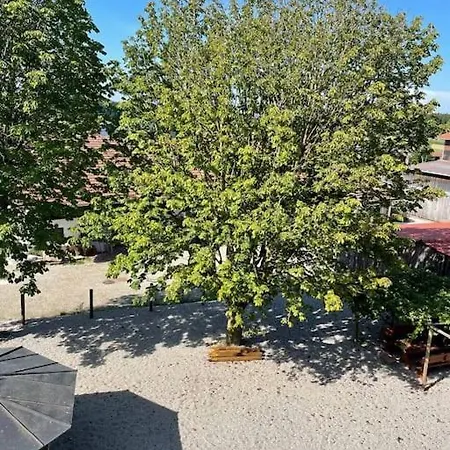 Chiemgau Welness Oase Casa Cara Apartment Tacherting Exterior photo