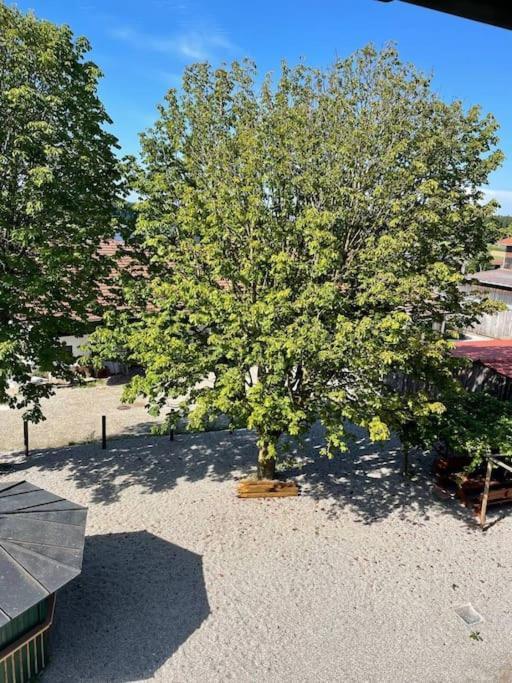 Apartment Chiemgau Welness Oase Casa Cara